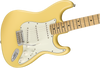 Fender Player Stratocaster Electric Guitar in Buttercream, white Scratchplate